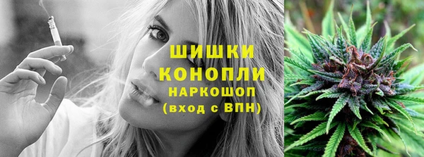 гидропоника Нефтекумск
