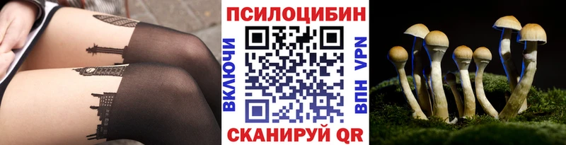 Галлюциногенные грибы Magic Shrooms  где найти наркотики  Хилок 